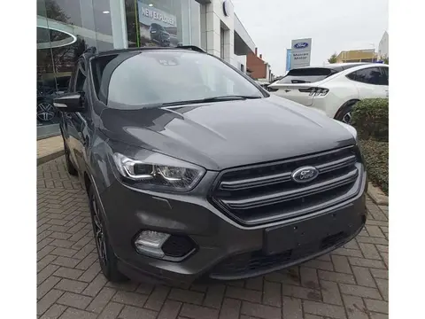 Used FORD KUGA Petrol 2019 Ad 