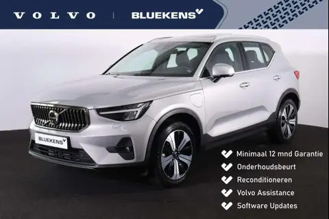 Annonce VOLVO XC40 Hybride 2023 d'occasion 