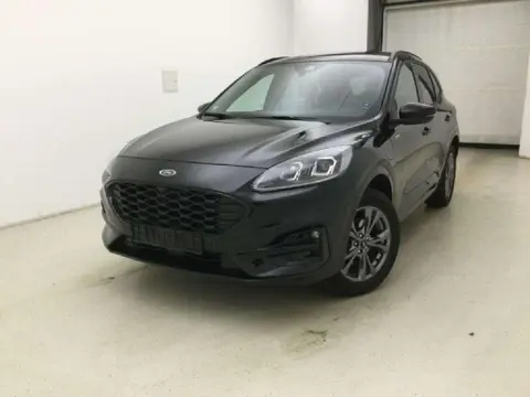 Used FORD KUGA Hybrid 2023 Ad 