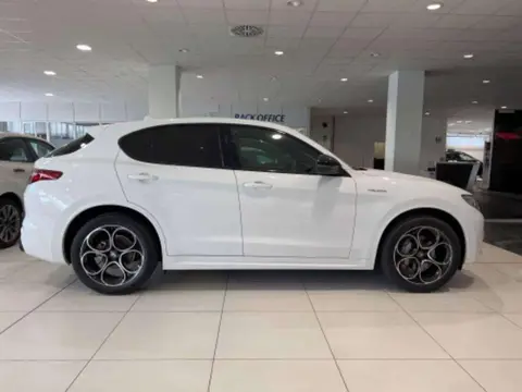 Annonce ALFA ROMEO STELVIO Diesel 2023 d'occasion 