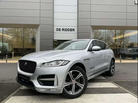 Used JAGUAR F-PACE Petrol 2020 Ad 