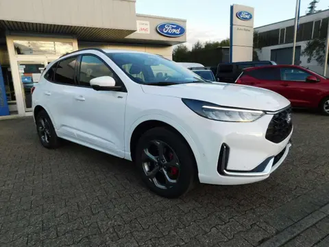 Annonce FORD KUGA Hybride 2024 d'occasion 