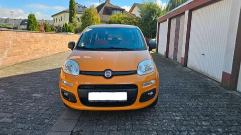 Annonce FIAT PANDA Essence 2019 d'occasion 