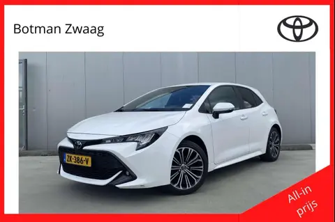 Used TOYOTA COROLLA Petrol 2019 Ad 