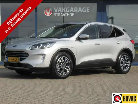 Used FORD KUGA Hybrid 2020 Ad 