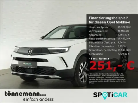 Used OPEL MOKKA Electric 2021 Ad 