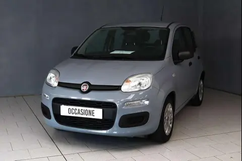 Used FIAT PANDA Hybrid 2022 Ad 