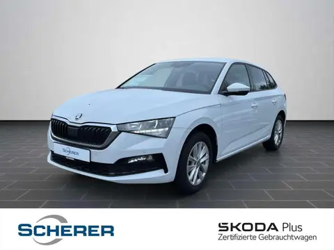 Annonce SKODA SCALA Essence 2024 d'occasion 