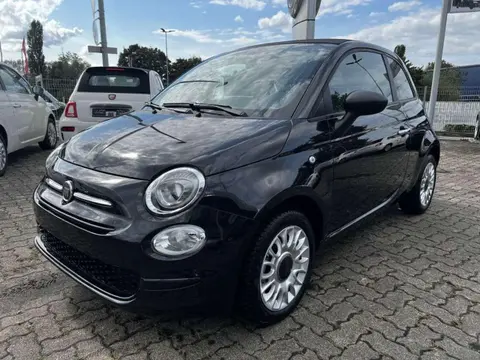 Used FIAT 500 Petrol 2023 Ad 