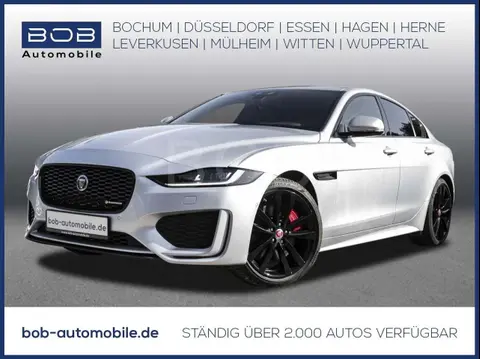 Used JAGUAR XE Petrol 2020 Ad 