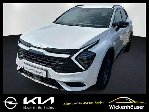 Annonce KIA SPORTAGE Essence 2024 d'occasion 