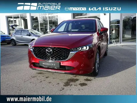 Used MAZDA CX-5 Diesel 2024 Ad 