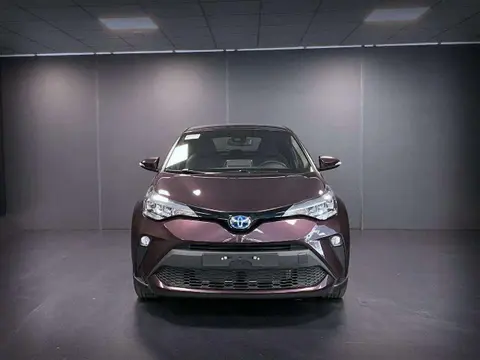 Annonce TOYOTA C-HR Hybride 2023 d'occasion 