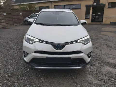 Used TOYOTA RAV4 Hybrid 2016 Ad 