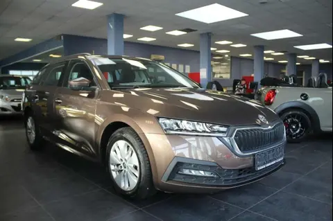 Used SKODA OCTAVIA Petrol 2020 Ad 