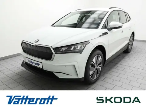 Used SKODA ENYAQ Electric 2024 Ad 