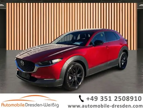 Annonce MAZDA CX-30 Essence 2024 d'occasion 