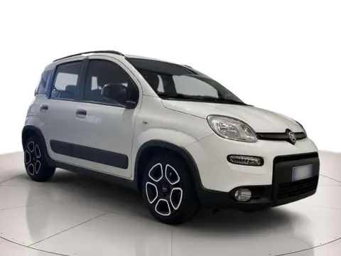 Used FIAT PANDA Petrol 2021 Ad 