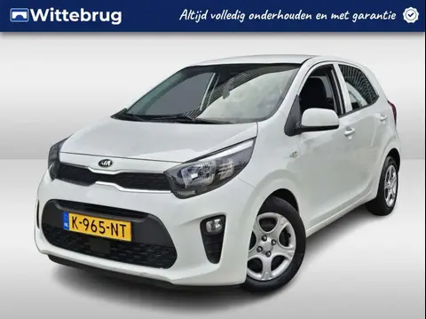 Used KIA PICANTO Petrol 2021 Ad 