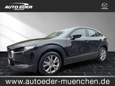 Used MAZDA CX-30 Petrol 2021 Ad 