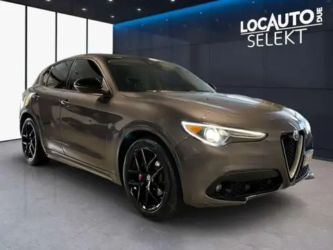 Used ALFA ROMEO STELVIO Diesel 2018 Ad 