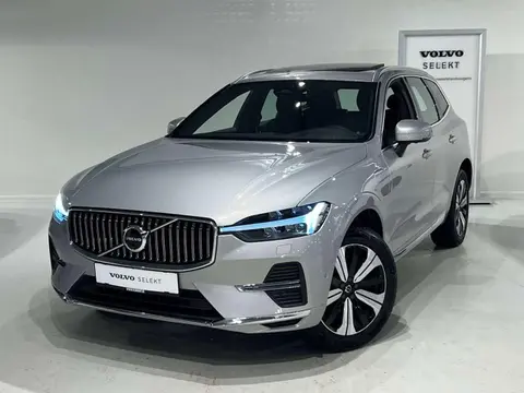 Annonce VOLVO XC60 Hybride 2023 d'occasion Belgique