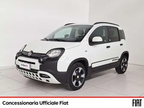 Annonce FIAT PANDA Hybride 2020 d'occasion 