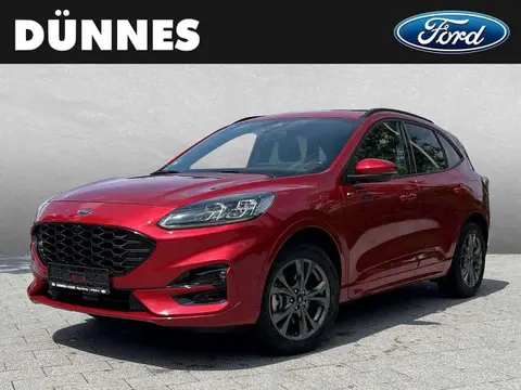 Annonce FORD KUGA Essence 2021 d'occasion 