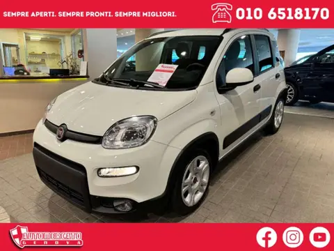 Used FIAT PANDA Hybrid 2023 Ad 