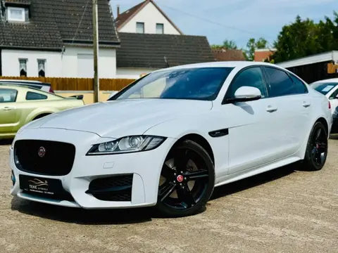 Annonce JAGUAR XF Diesel 2018 d'occasion 