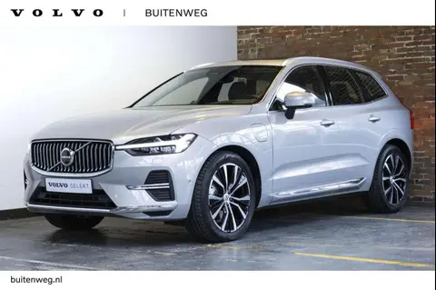 Used VOLVO XC60 Hybrid 2023 Ad 