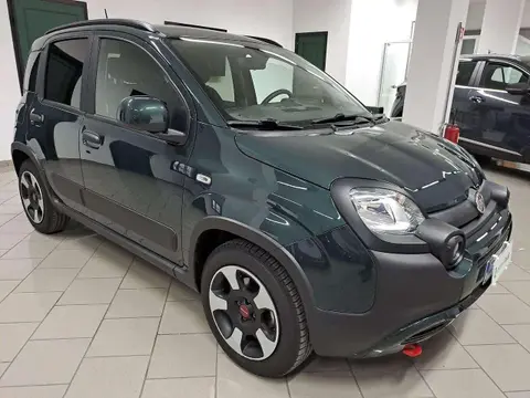 Annonce FIAT PANDA Hybride 2024 d'occasion 