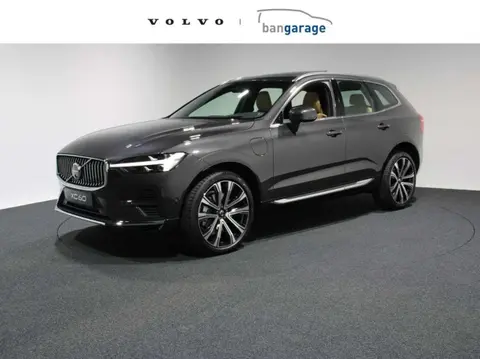 Used VOLVO XC60 Hybrid 2023 Ad 