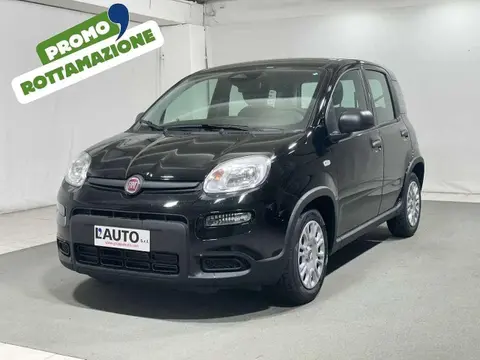 Used FIAT PANDA Hybrid 2024 Ad 