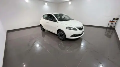 Used LANCIA YPSILON LPG 2024 Ad 