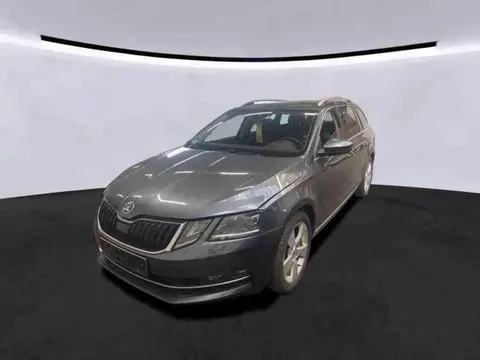 Used SKODA OCTAVIA Diesel 2019 Ad 