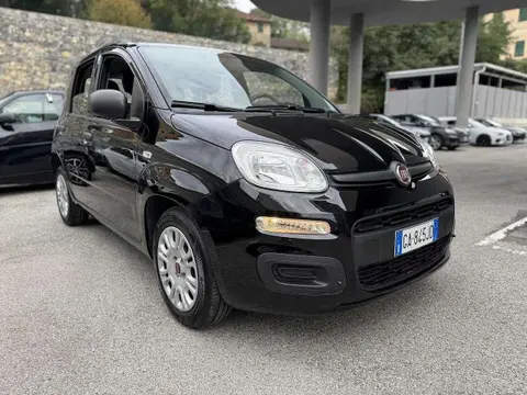 Annonce FIAT PANDA Essence 2020 d'occasion 