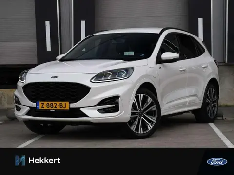 Annonce FORD KUGA Hybride 2023 d'occasion 