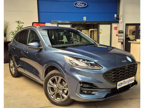 Annonce FORD KUGA Hybride 2023 d'occasion 