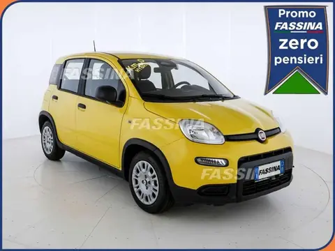 Annonce FIAT PANDA Hybride 2024 d'occasion 