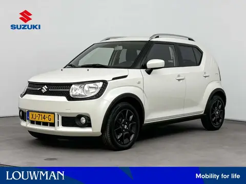 Used SUZUKI IGNIS Petrol 2019 Ad 