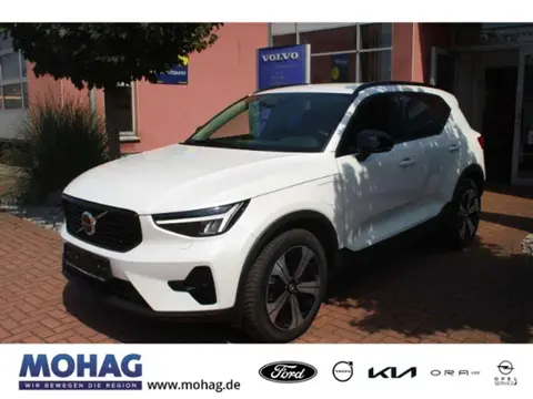 Used VOLVO XC40 Hybrid 2022 Ad 