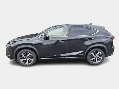 Annonce LEXUS NX Hybride 2019 d'occasion 