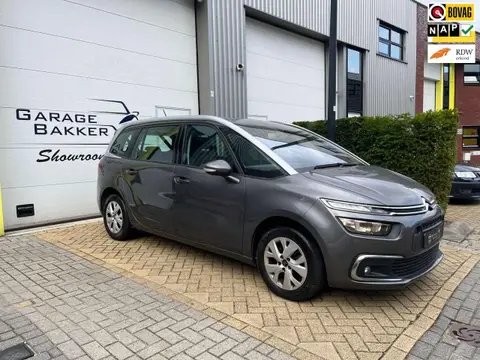 Annonce CITROEN C4 Essence 2019 d'occasion 