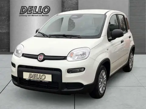 Annonce FIAT PANDA Essence 2024 d'occasion 