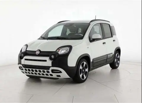 Annonce FIAT PANDA Hybride 2024 d'occasion 