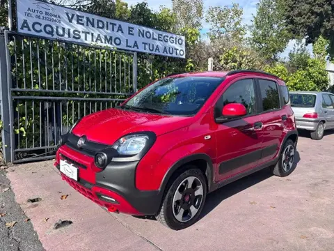 Used FIAT PANDA Hybrid 2024 Ad 