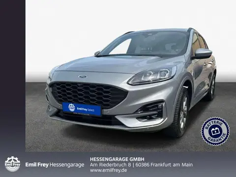 Annonce FORD KUGA Hybride 2022 d'occasion 