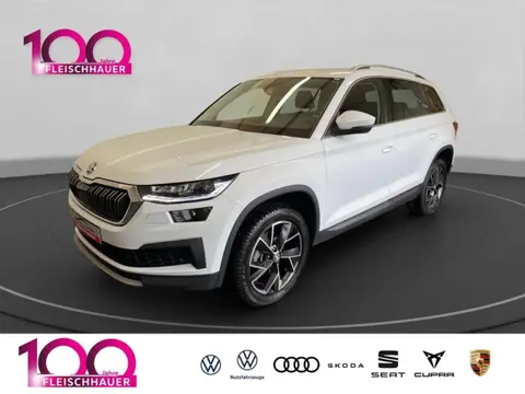 Annonce SKODA KODIAQ Diesel 2023 d'occasion 