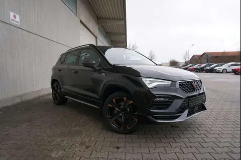 Annonce CUPRA ATECA Essence 2024 d'occasion 